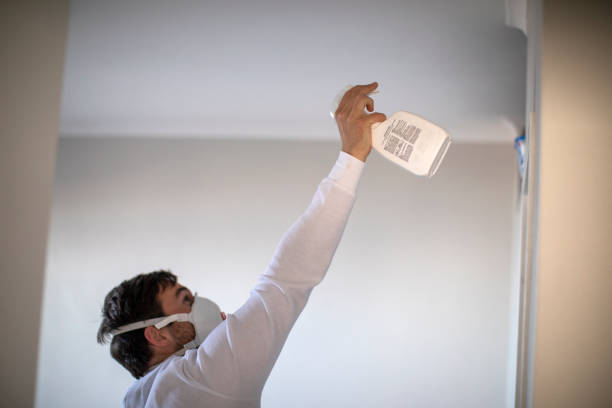 Best Preventive Mold Services in Franklin Furnace, OH