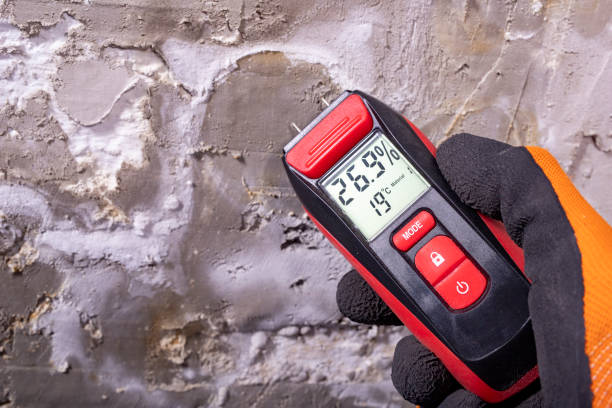 Best Post-Remediation Services in Franklin Furnace, OH